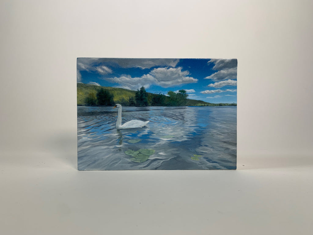 La Seine River Swan #2 - France