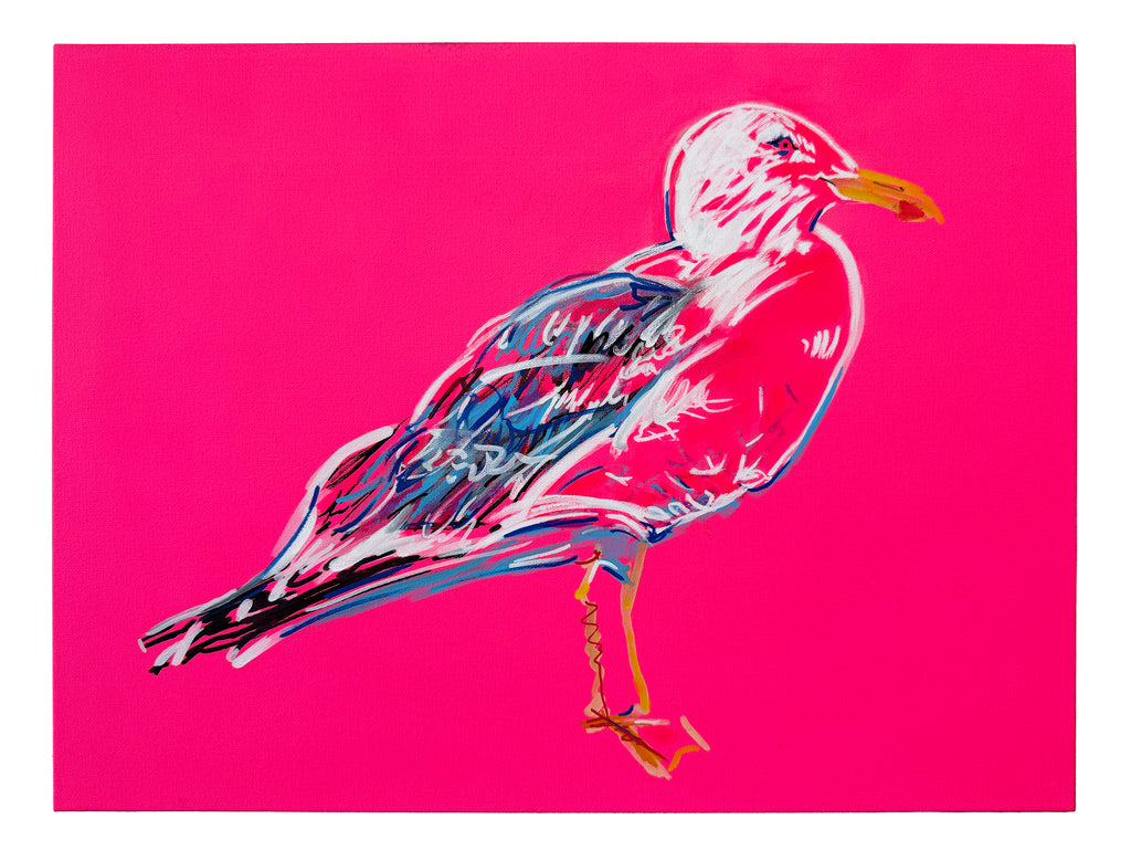 Pink Seagull #1