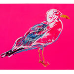 Pink Seagull #1