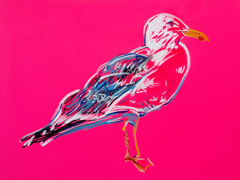 The Wild Life - Seagull #1