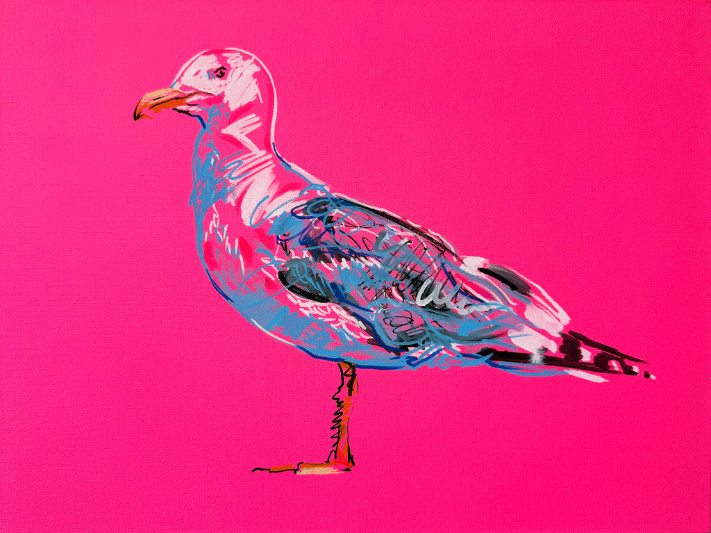 The Wild Life - Seagull #2