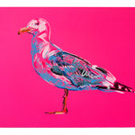 Pink Seagull #2