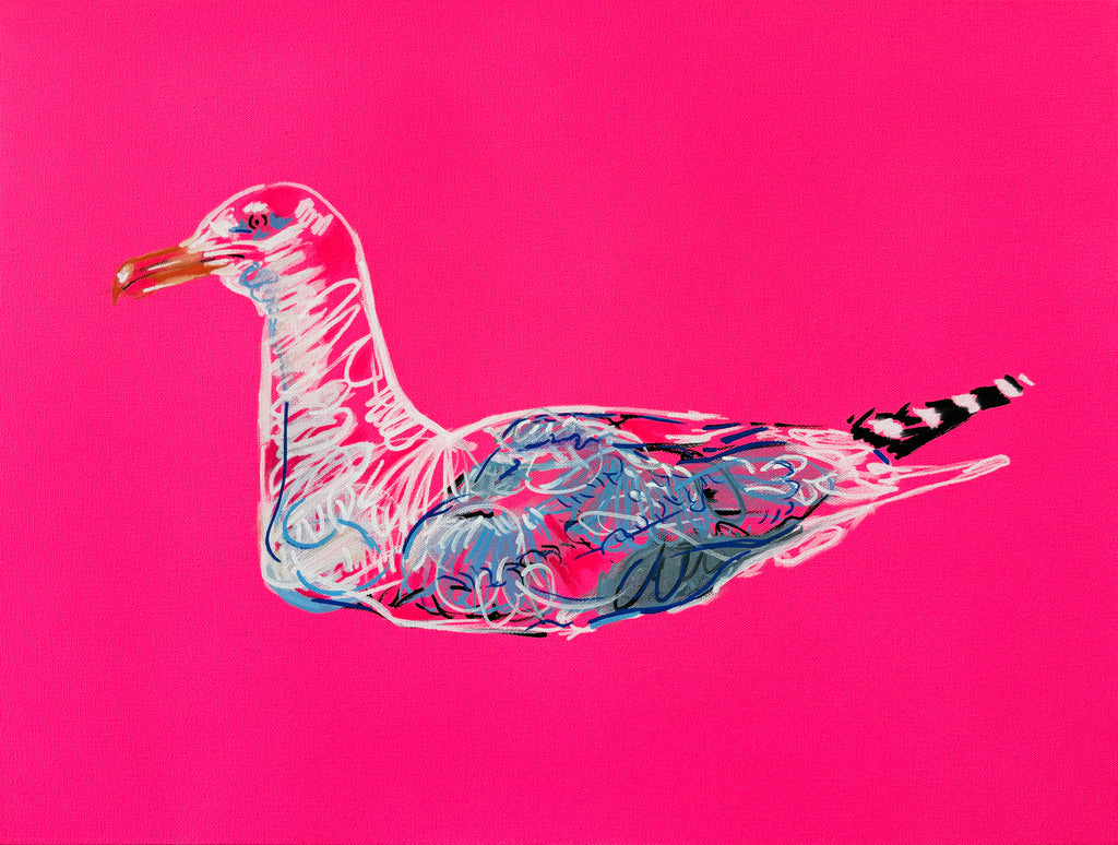 The Wild Life - Seagull #3