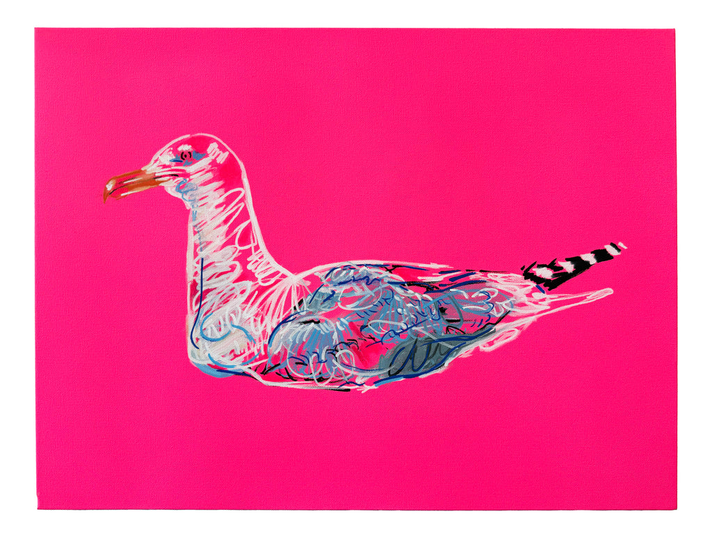 Pink Seagull #3