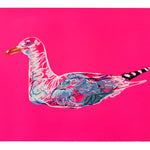 Pink Seagull #3