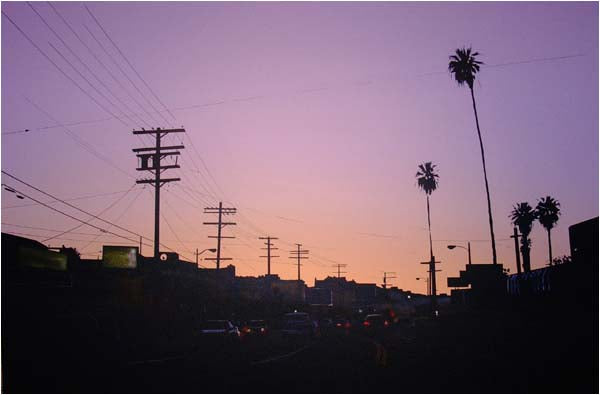 Sunset on Sunset #55